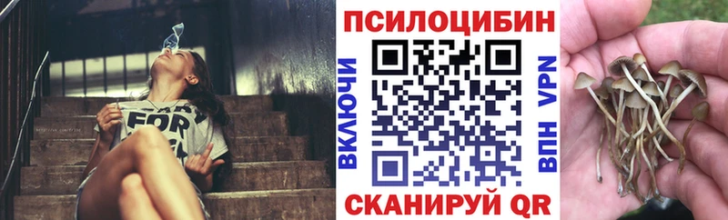 Галлюциногенные грибы мицелий  блэк спрут ССЫЛКА  Демидов 
